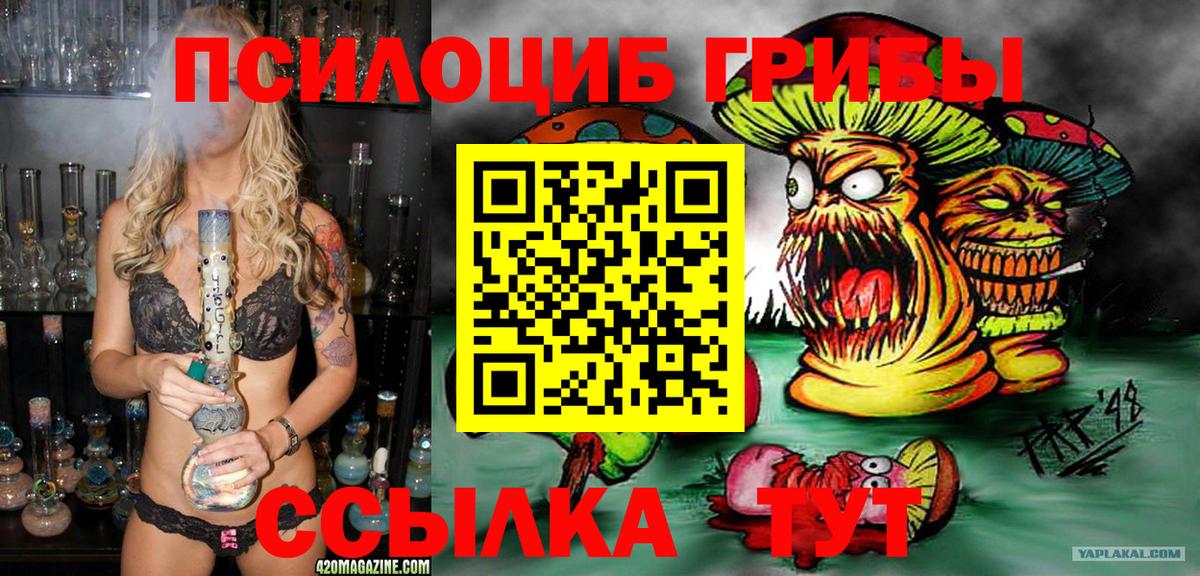 Галлюциногенные грибы Psilocybe  Вход с VPN  Галлюциногенные грибы GOLDEN TEACHER  Ялуторовск 